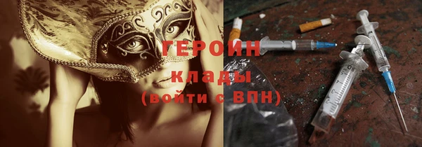 индика Арсеньев