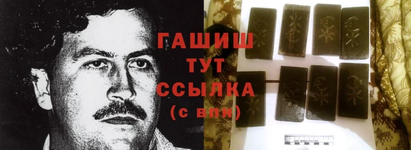 индика Арсеньев