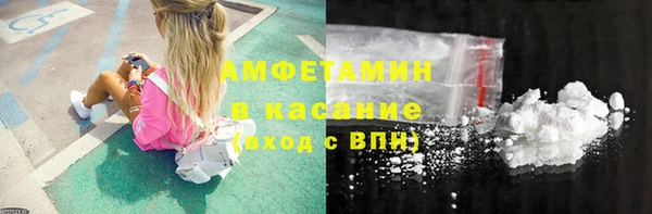 индика Арсеньев