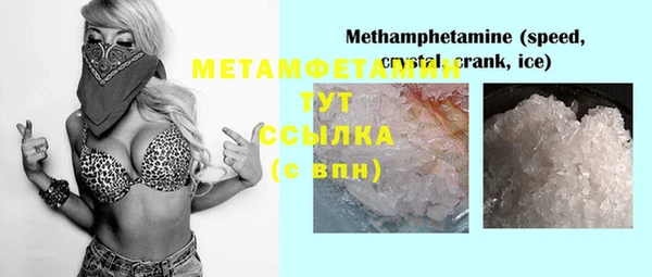 индика Арсеньев