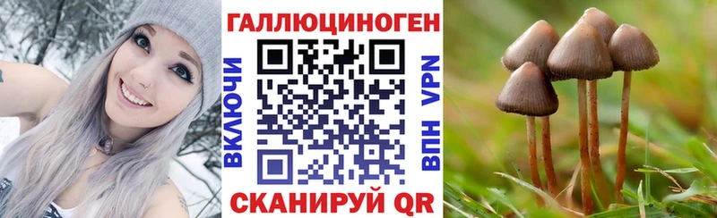 ссылка на мегу вход Почеп Псилоцибиновые грибы MAGIC MUSHROOMS